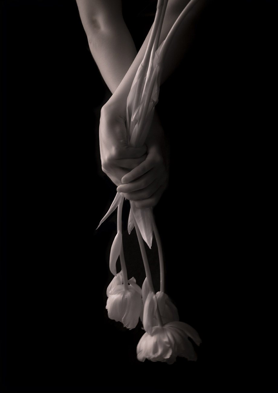 Lucid Series_ZJB_Carla van de Puttelaar